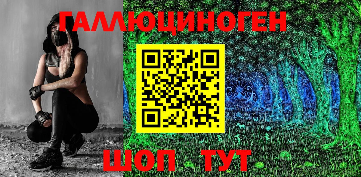 Псилоцибиновые грибы Cubensis Славгород