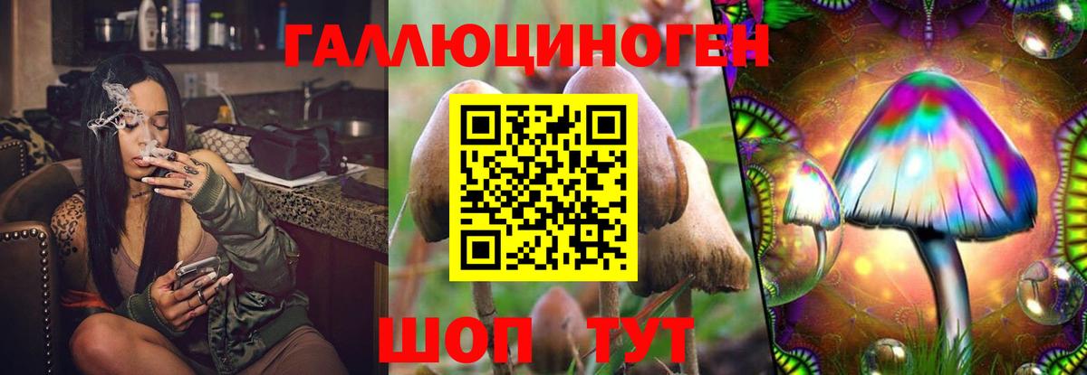 Галлюциногенные грибы мухоморы  Вход с VPN  Славгород 